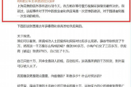 河间遇到恶意拖欠？专业追讨公司帮您解决烦恼